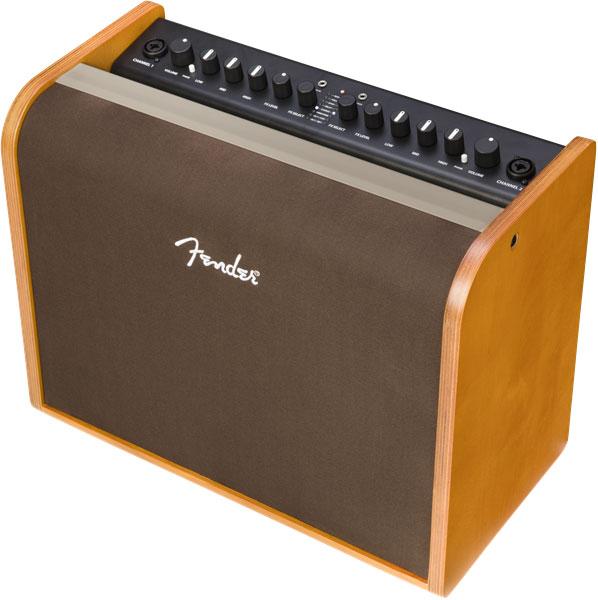 Fender Acoustic 100