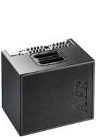 AER Domino 2A, Akustikamp