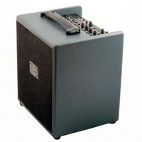 Schertler DAVID 100W biamplified, Akustikamp