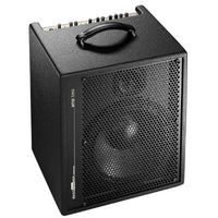 AER Amp Two 240W, Akustikbassamp