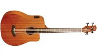 Gold Tone Mikro Bass M-BASS25