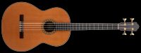 Esteve Octave Bass 4