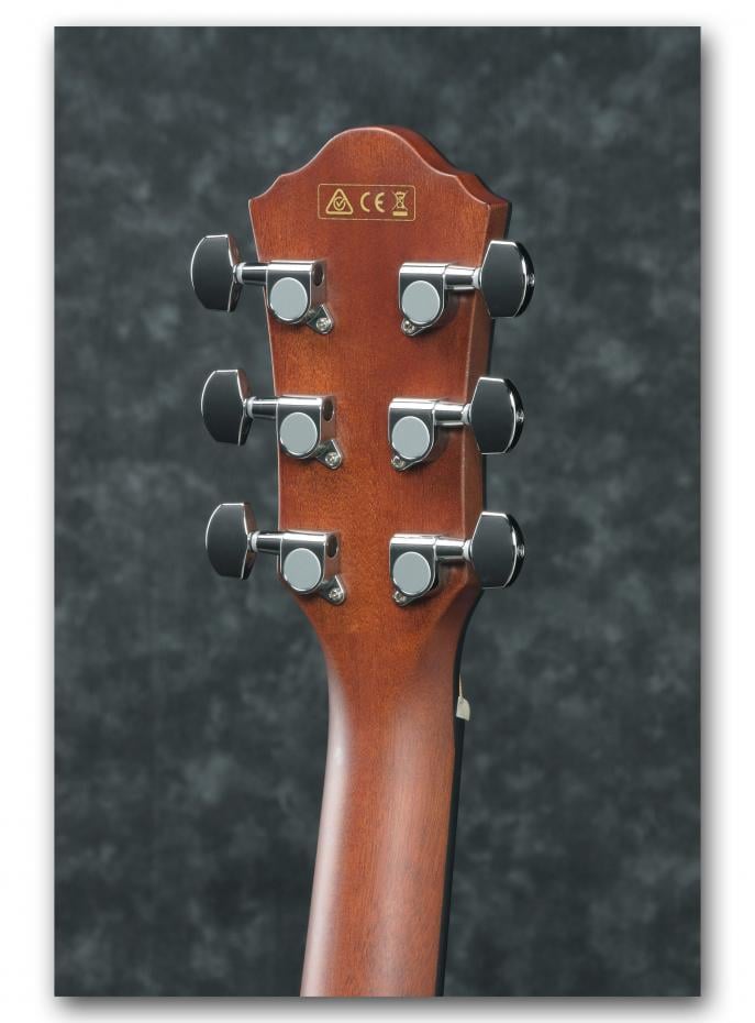 Ibanez AEG50-IBH