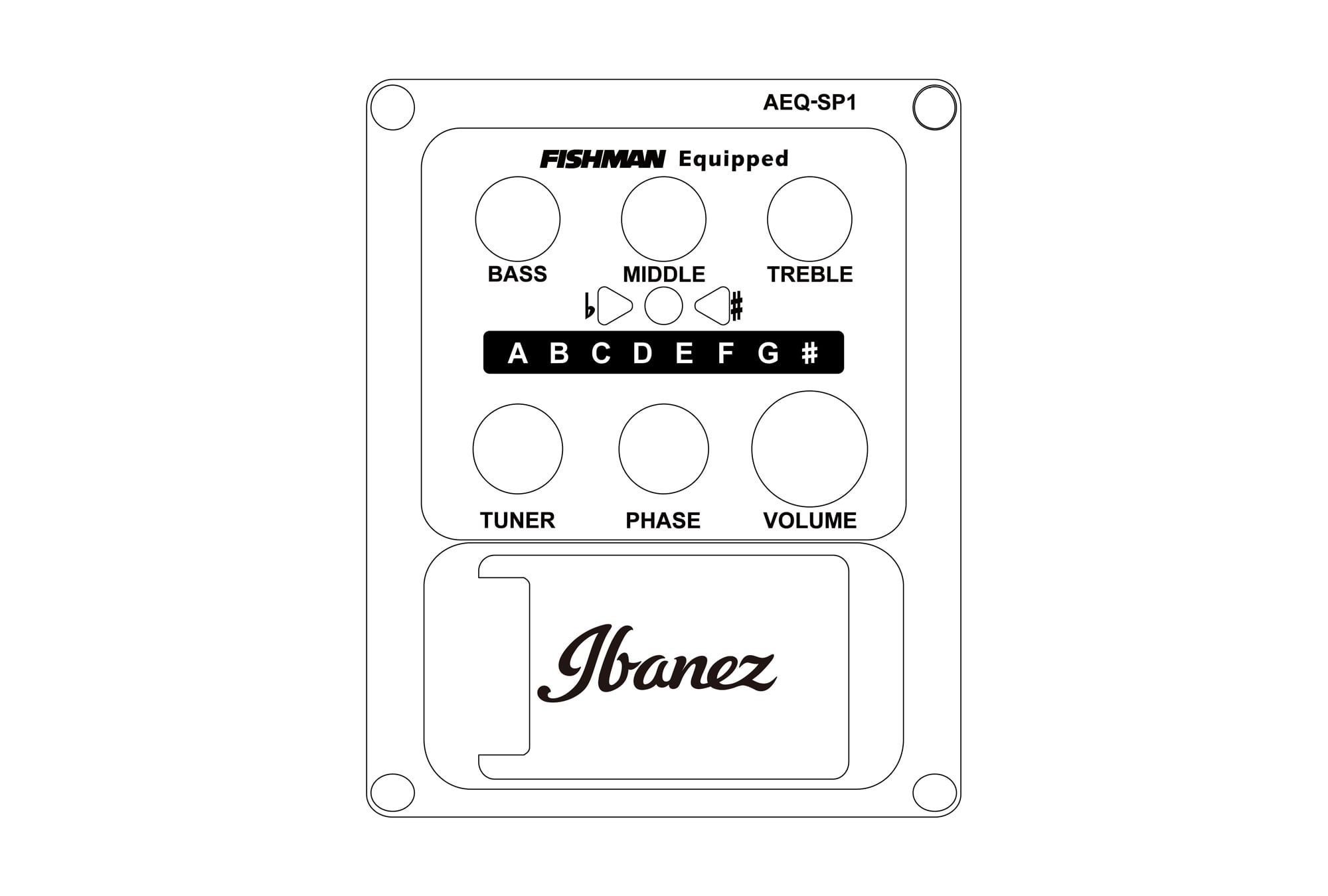 Ibanez AEWC11-TCB Transparent Charcoal Burst