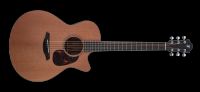 Furch Blue Master´s Choice GC-CM SPE-L.R. Baggs