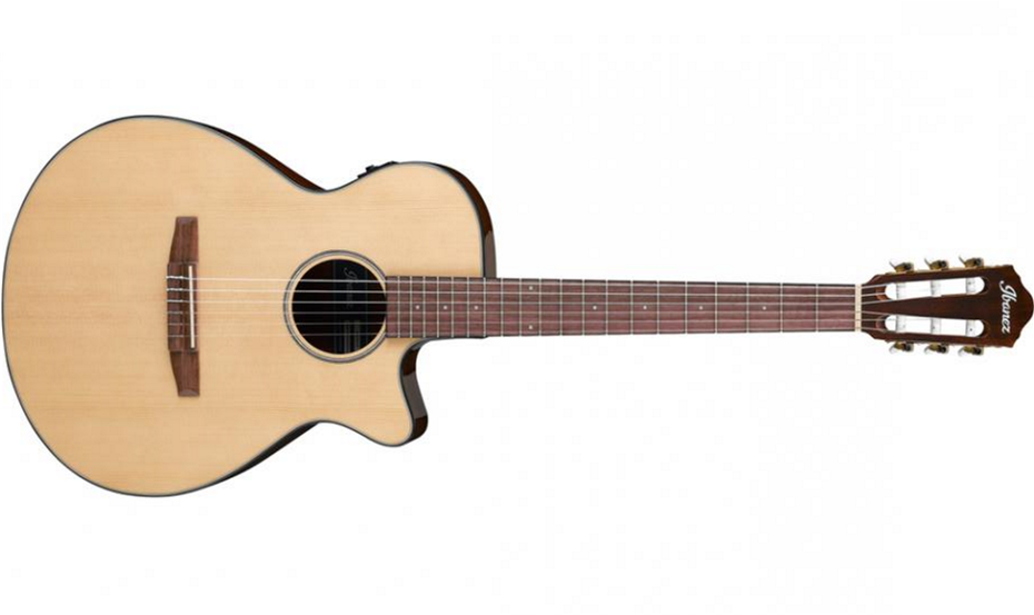 Ibanez AEG-50N-NT