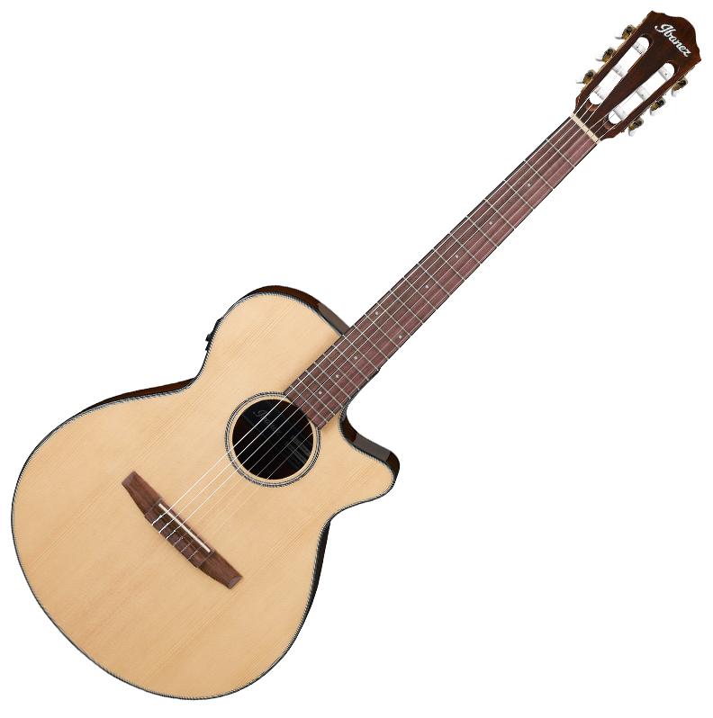 Ibanez AEG-50N-NT