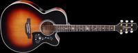 Takamine EF450CTTS  Thermal Top