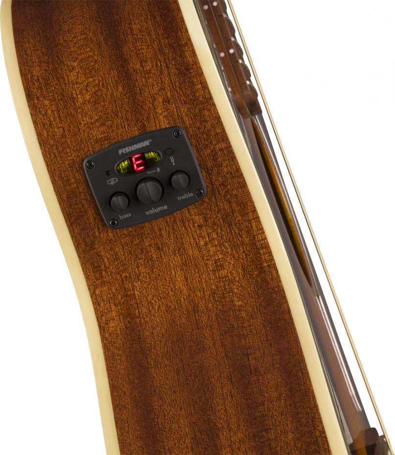 Fender Newporter Player sunburst