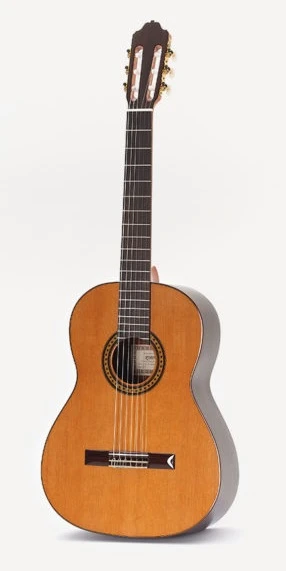 Esteve 6 PS Spruce