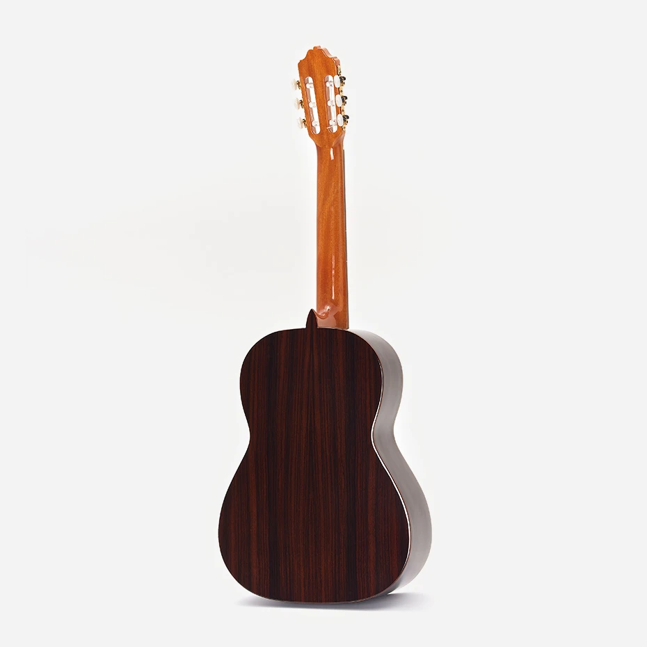 Esteve 6 PS Spruce