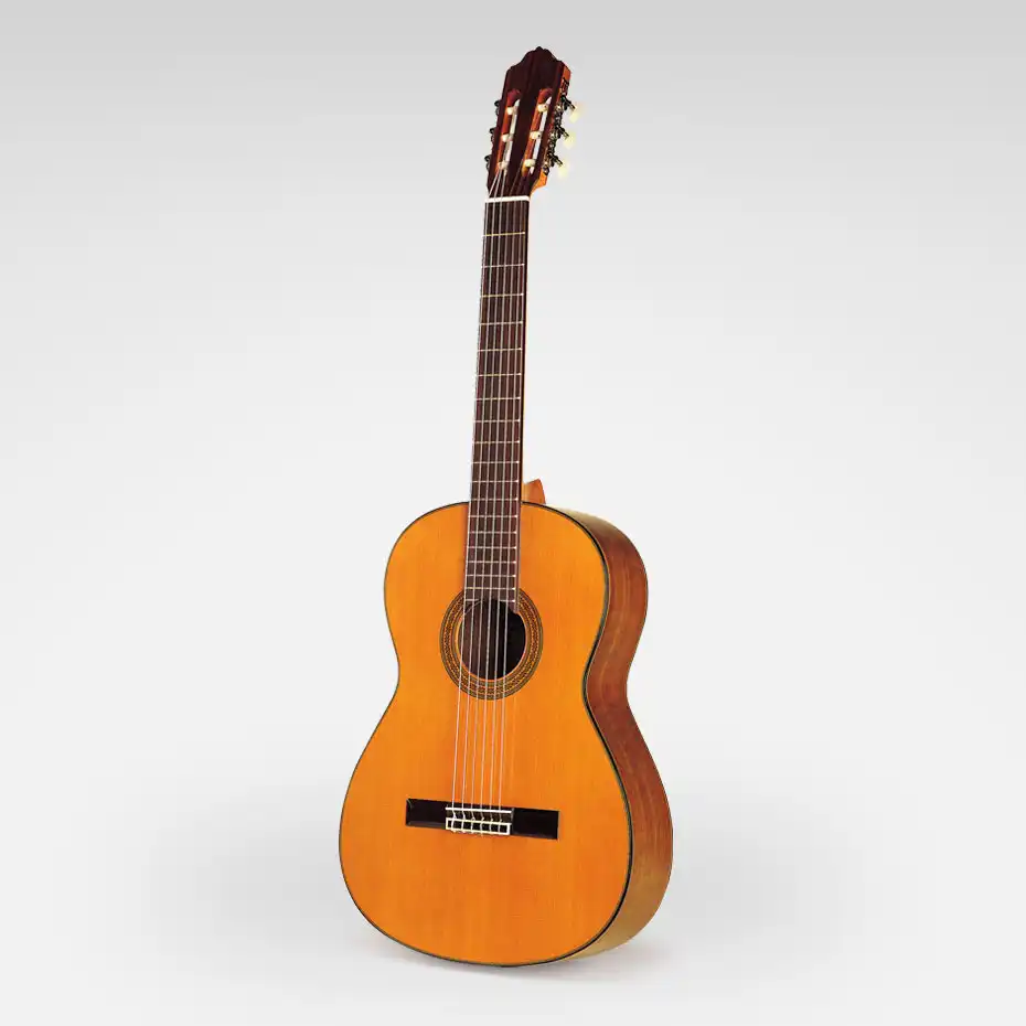 Esteve 5 Cedar
