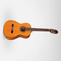 Esteve 5 Cedar