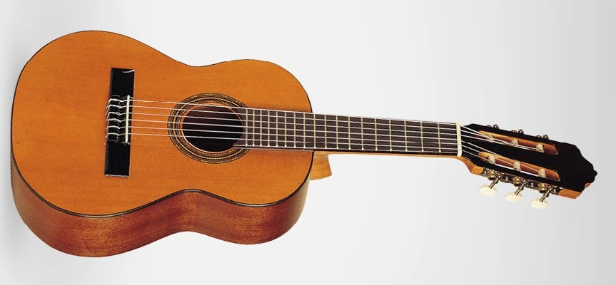Esteve 3G40 Oktavgitarre Zeder/Sapele