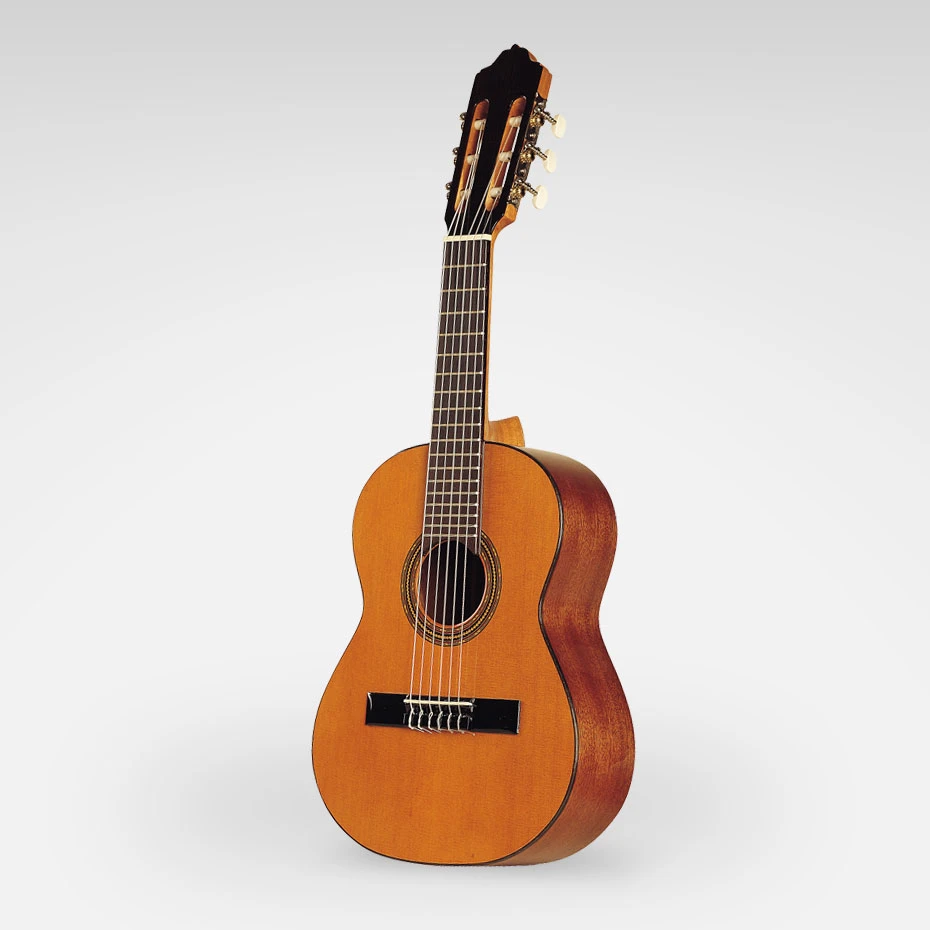 Esteve 3G40 Oktavgitarre Zeder/Sapele