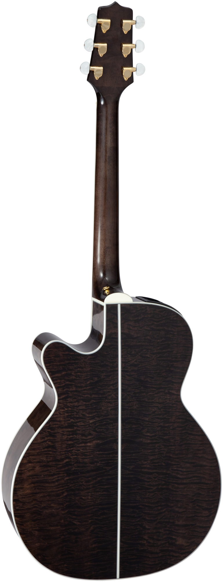 Takamine GN75CETBK Country Flower