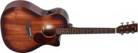 Ditson GC-15E Aged