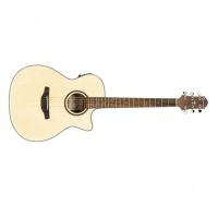 Crafter HT100-CE-N