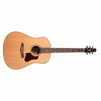Seagull Coastline Momentum HG Sonitone