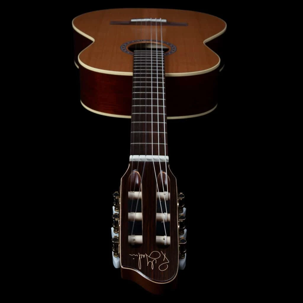 Godin Etude Pu
