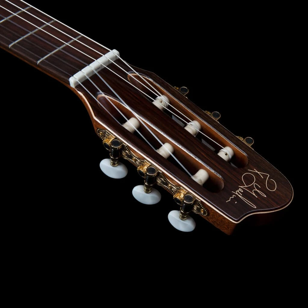 Godin Etude Pu