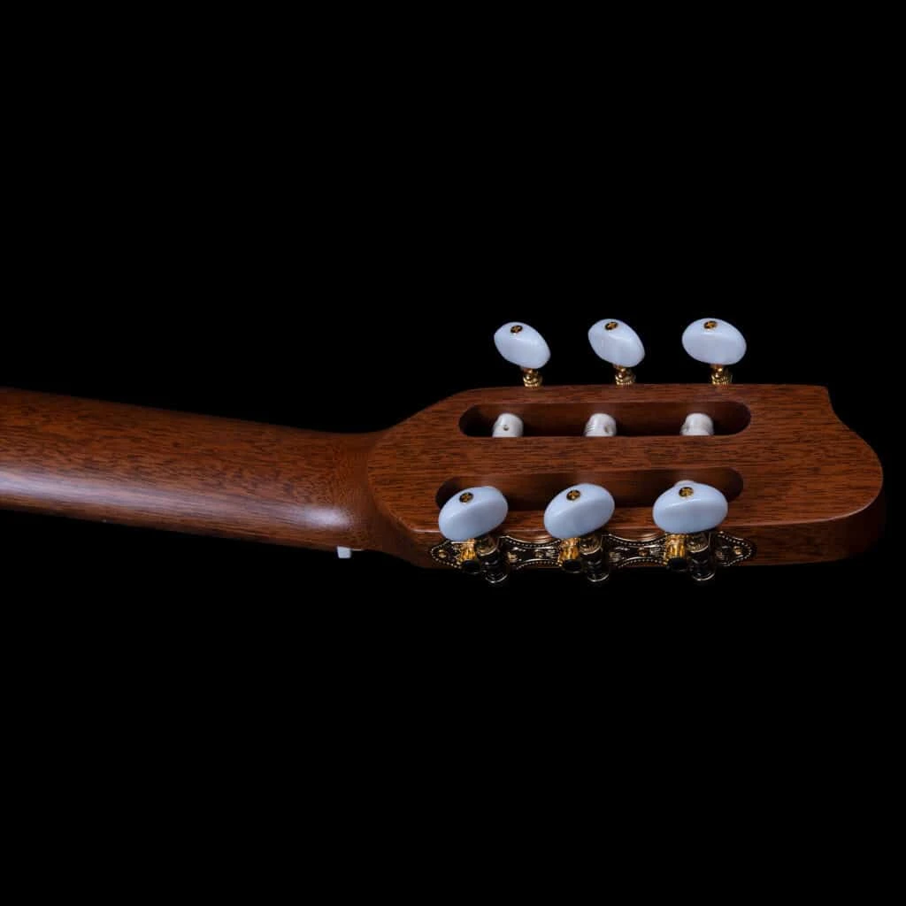 Godin Etude Pu