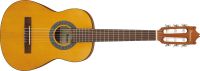 Ibanez GA1-Open Pore Amber