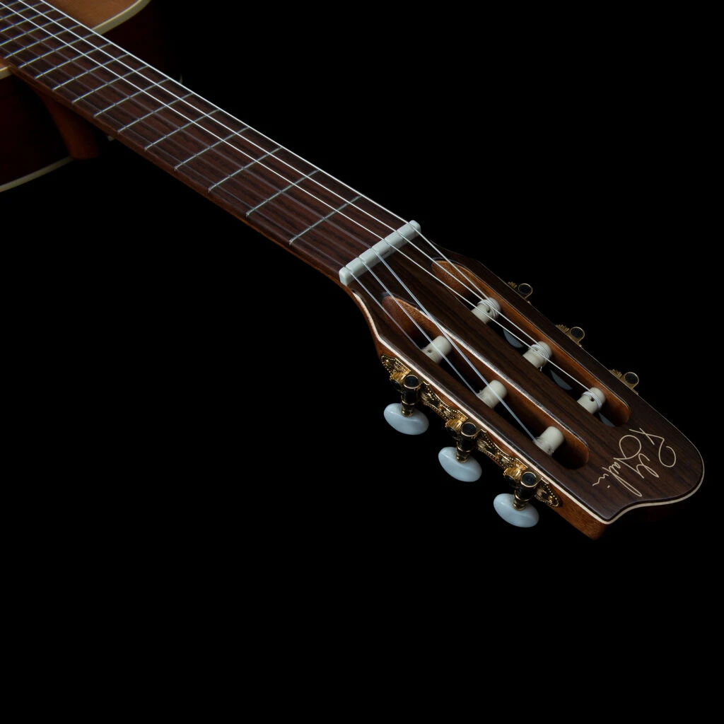 Godin Motif