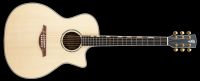 You´s Guitars VF23E