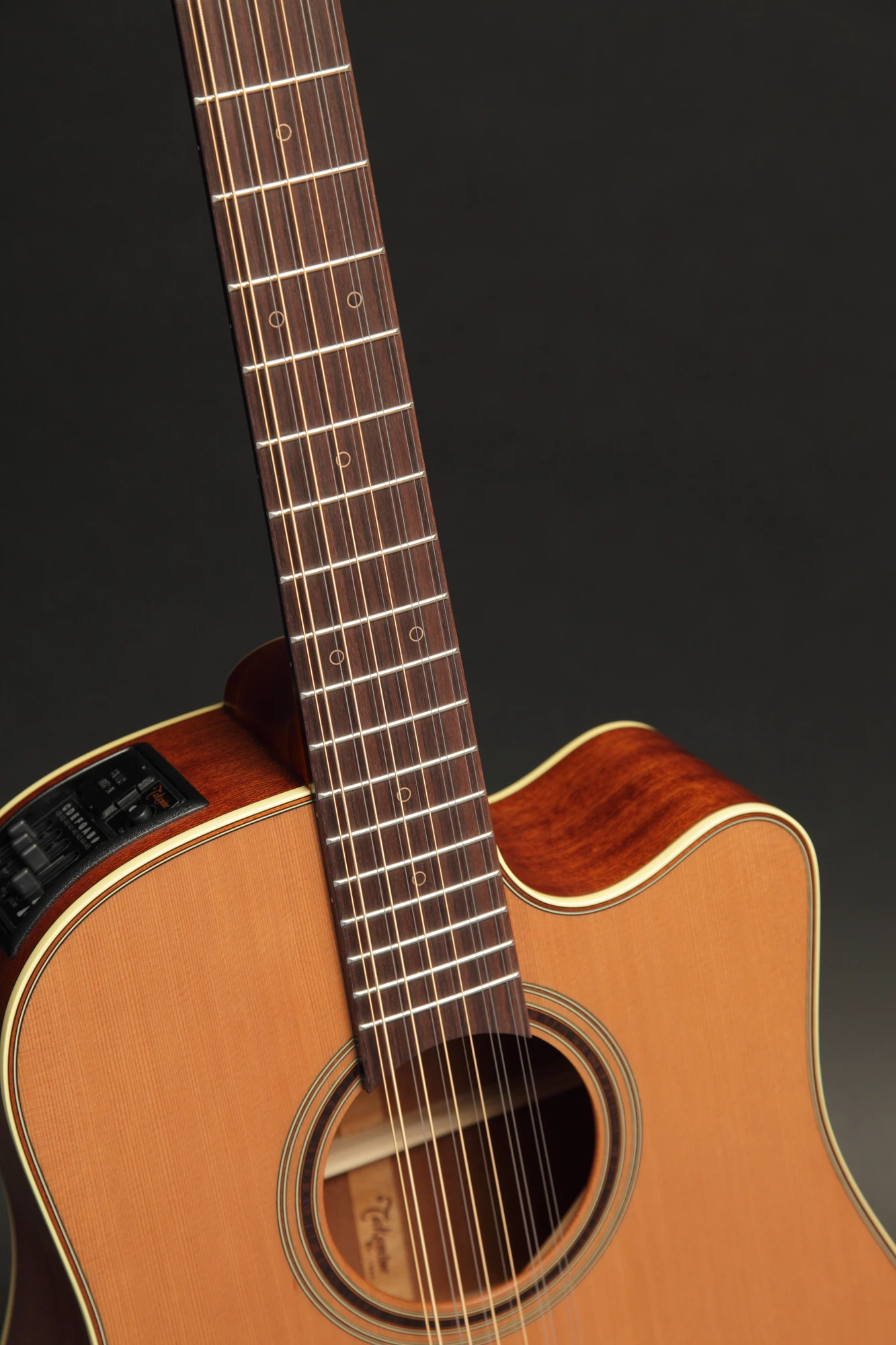 Takamine P3DC12