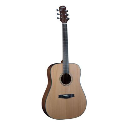 Stanford Durango D-40-CM