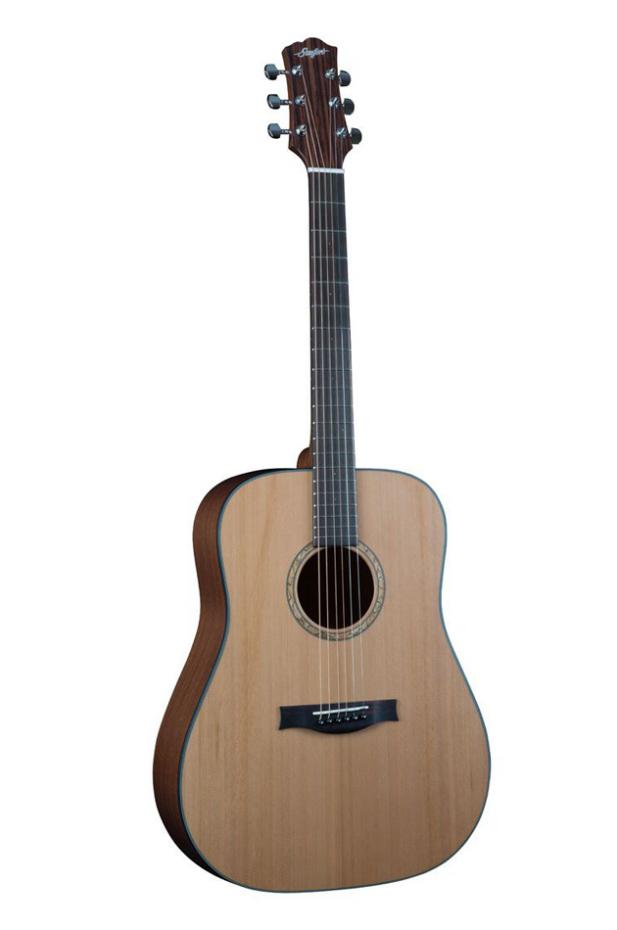 Stanford Durango D-40-CM