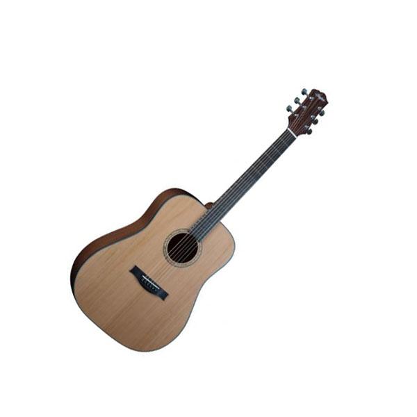 Stanford Durango D-40-CM