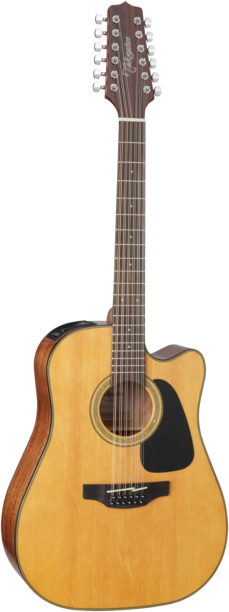 Takamine GD30CE12N