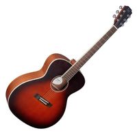J.N Guitars EZR-J