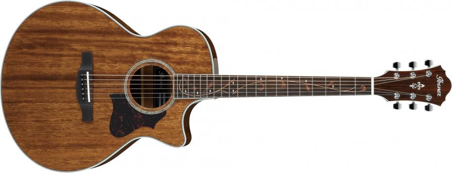 Ibanez AE245