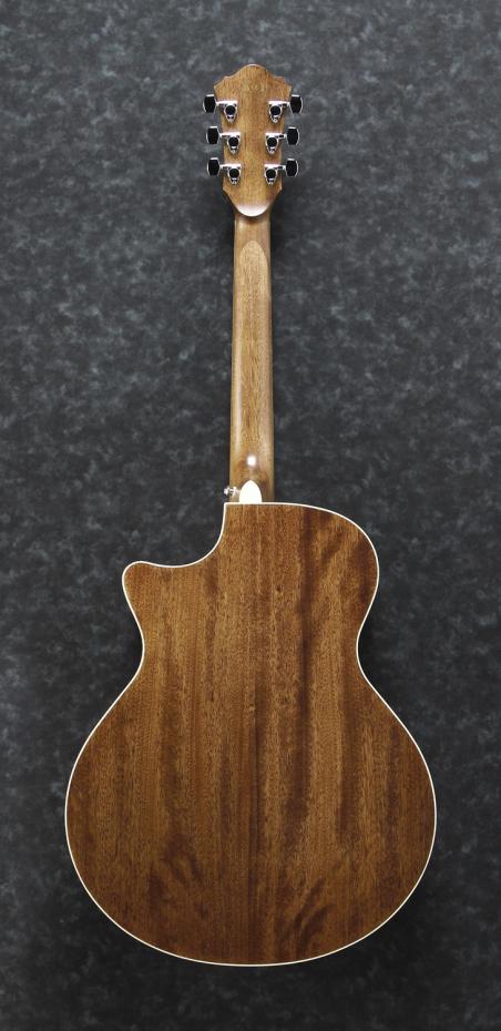 Ibanez AE245