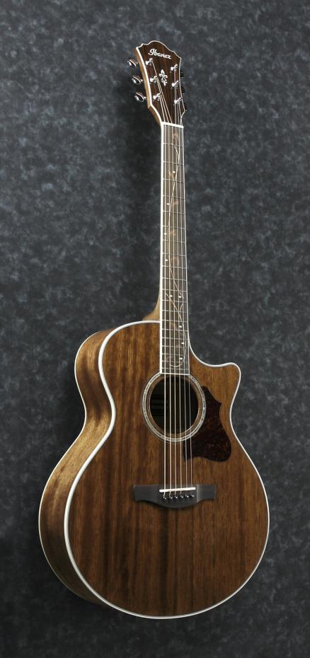 Ibanez AE245