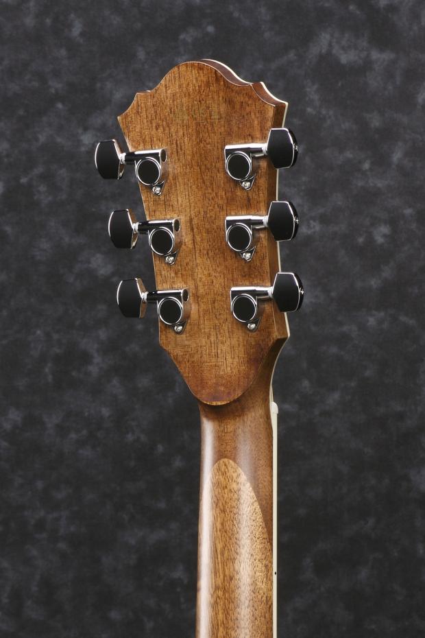 Ibanez AE245