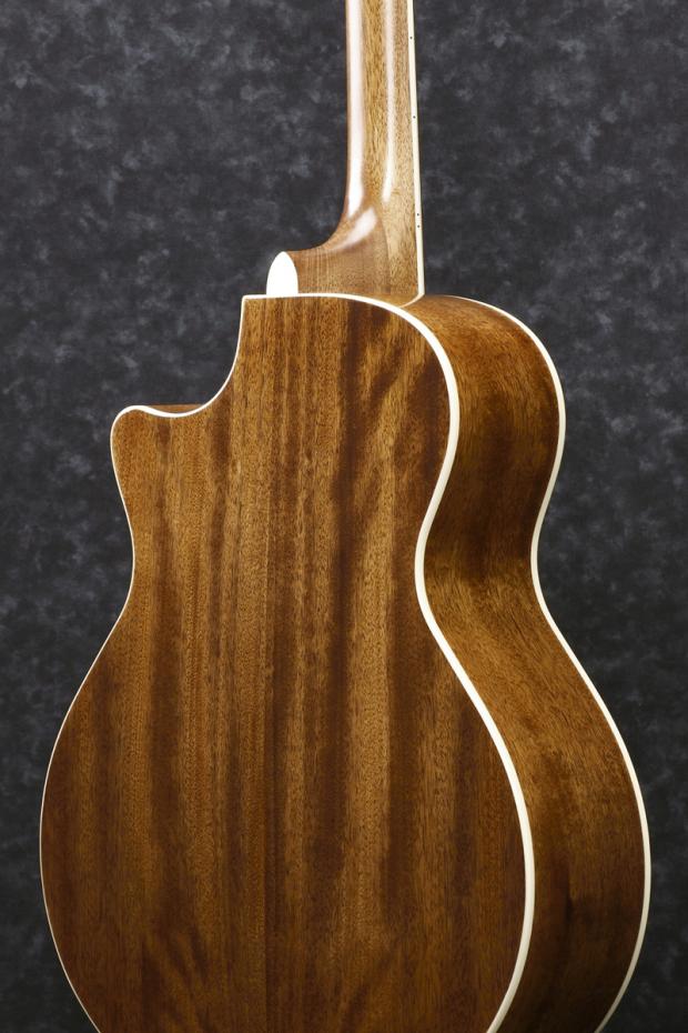Ibanez AE245