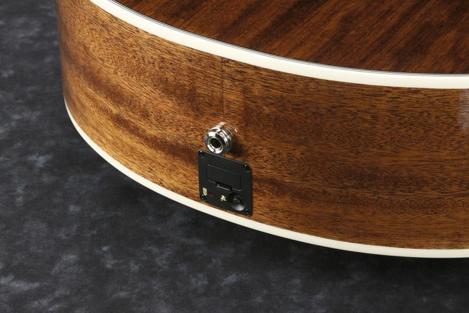 Ibanez AE245