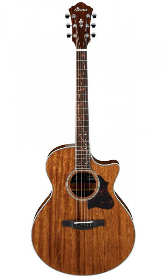 Ibanez AE245