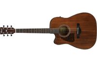 Ibanez AW54LCE-OPN