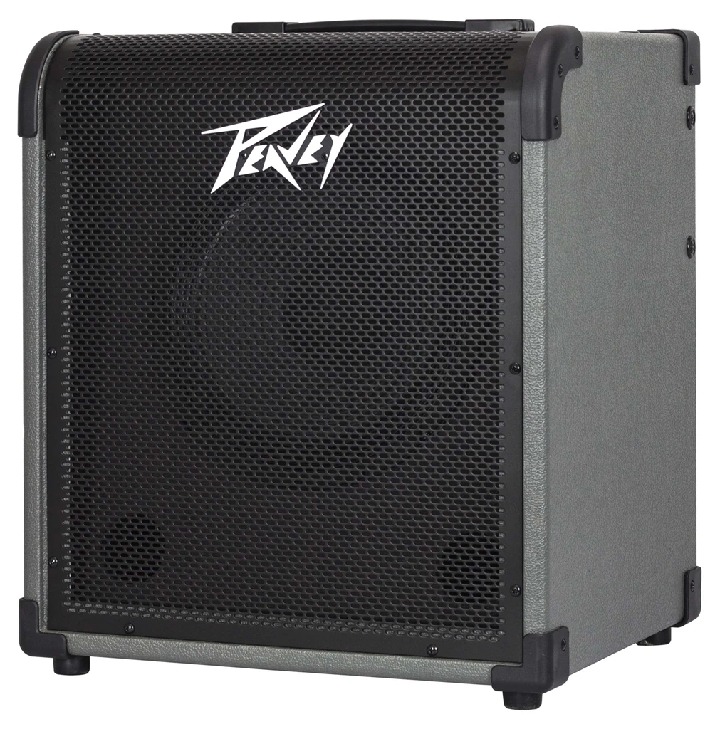 Peavey MAX 100