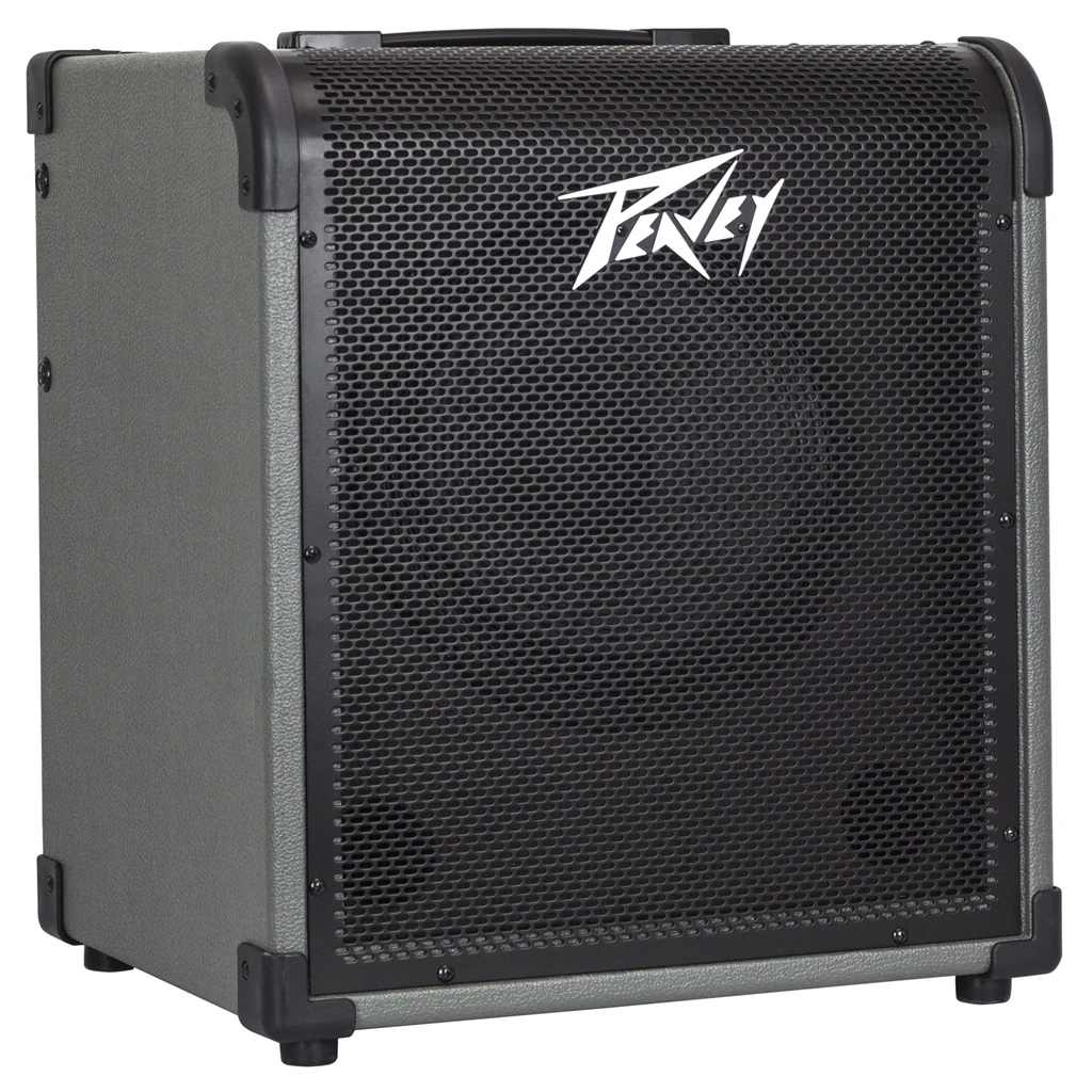 Peavey MAX 100