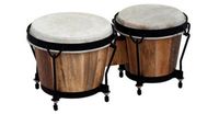 Club Salsa natur, Bongos