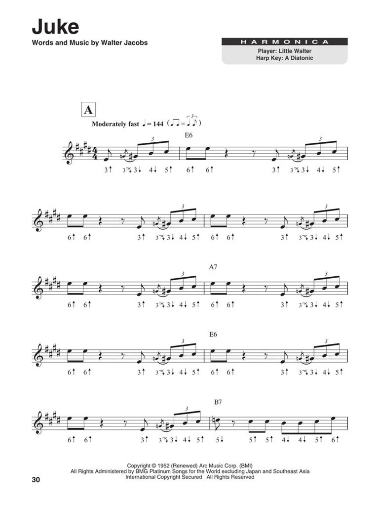 Harmonica - CHICAGO BLUES