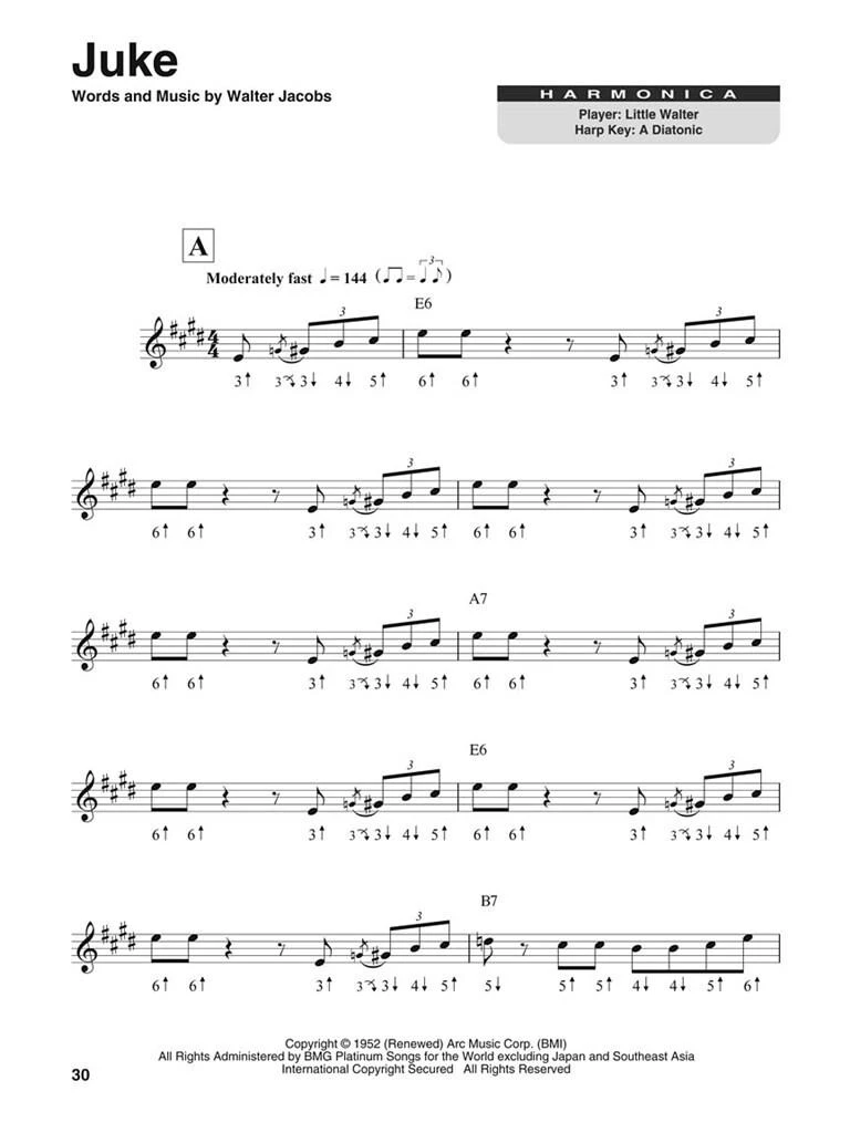 Harmonica - CHICAGO BLUES