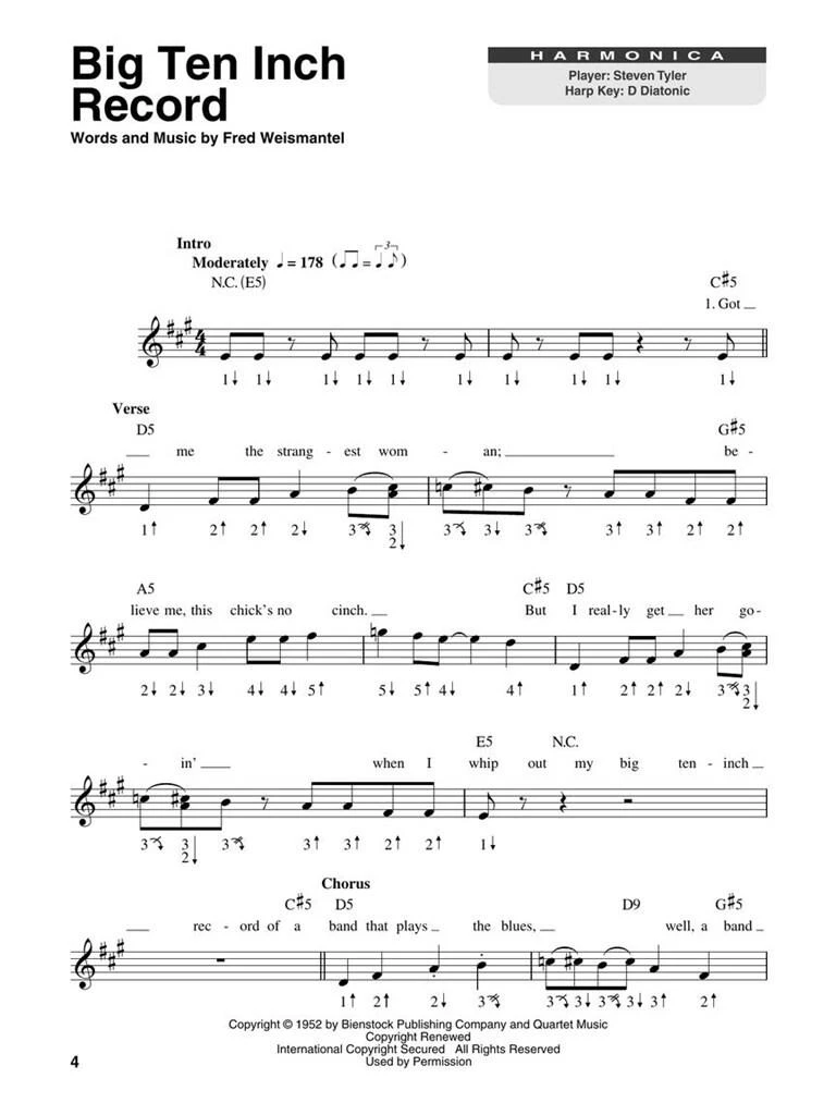 Harmonica - BLUES ROCK