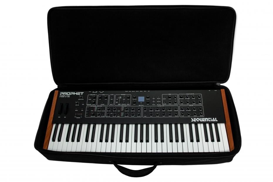 Analog Cases SUSTAIN Case 49
